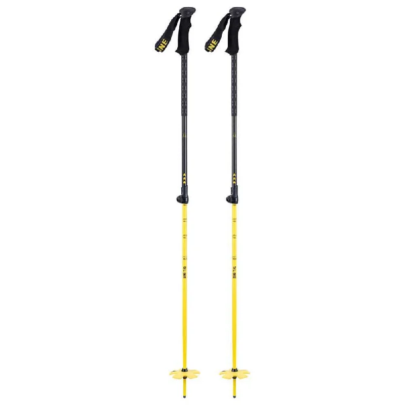 Line Vision Ski Poles