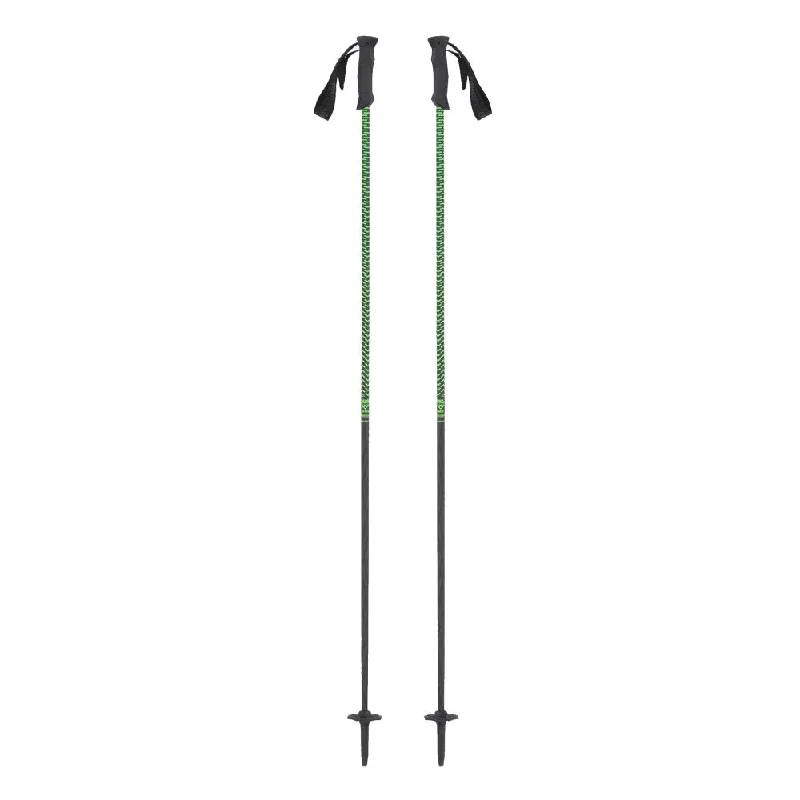 Stans Ski Poles