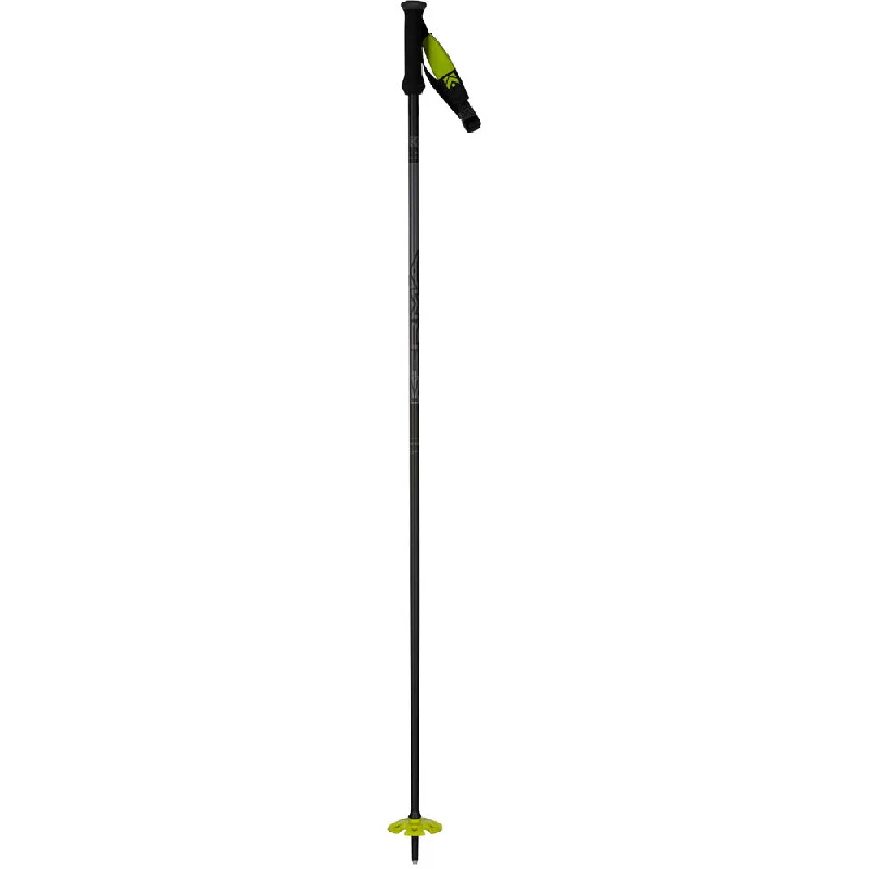 Vector Hybrid 6 Ski Poles